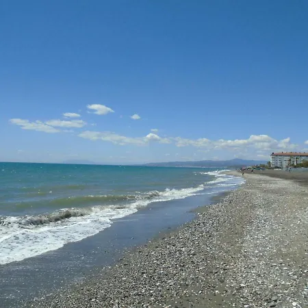Penoncillo